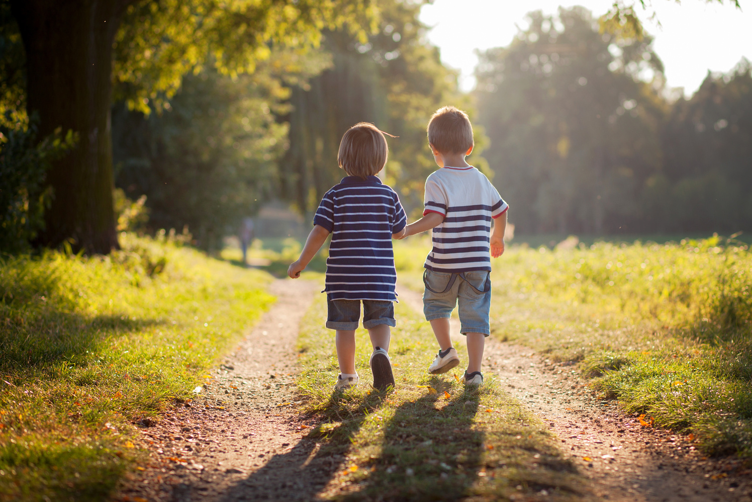 Brothers, walking in a park